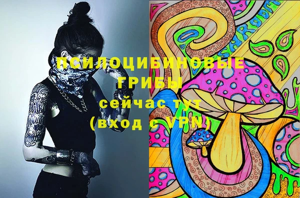 прущая мука Белокуриха