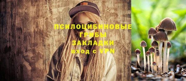 прущая мука Белокуриха
