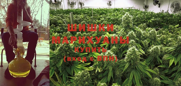 прущая мука Белокуриха