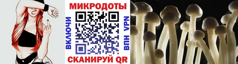 Псилоцибиновые грибы MAGIC MUSHROOMS  купить  цена  Мглин 